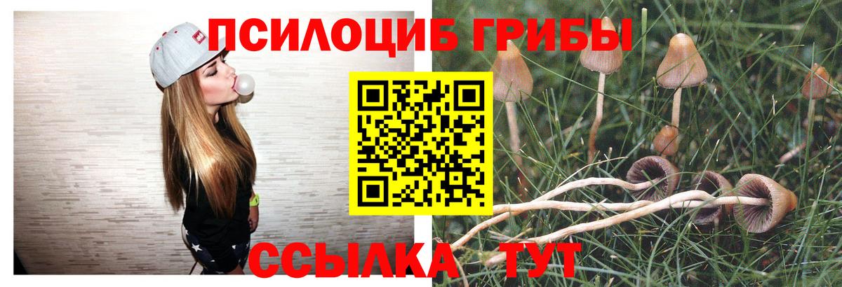 Галлюциногенные грибы Cubensis  Галлюциногенные грибы прущие грибы  Зеленодольск  Вход с VPN 
