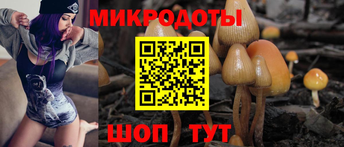 Галлюциногенные грибы MAGIC MUSHROOMS Зеленодольск